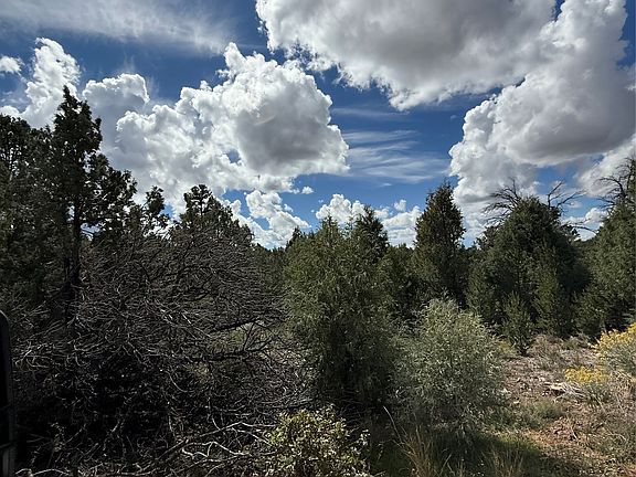 3rd image of LOT 180 181 #223