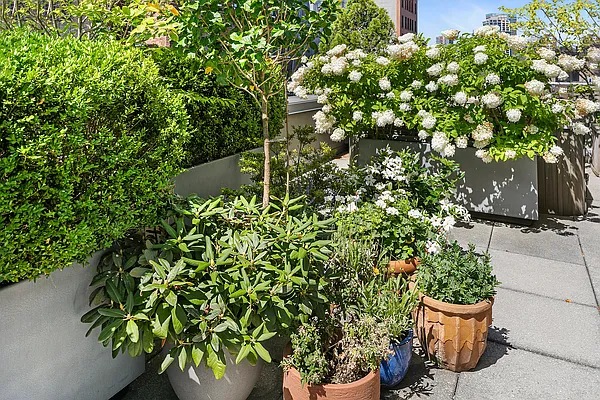 Rented by Easton Properties | media 4