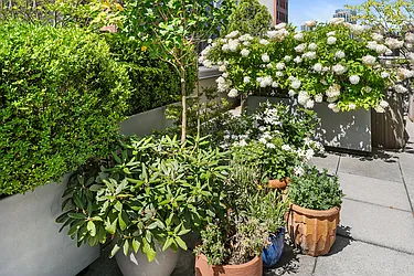 Rented by Easton Properties