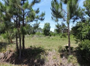 1480 Pell Rd, Osteen, FL 32764