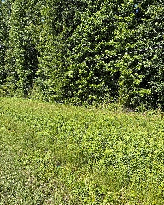 1st image of Lemon Springs Rd