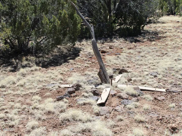 9125 Pinto Trl, Show Low, AZ 85901