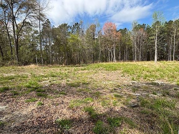 5th image of TBD Lot 1 Coats Rd.