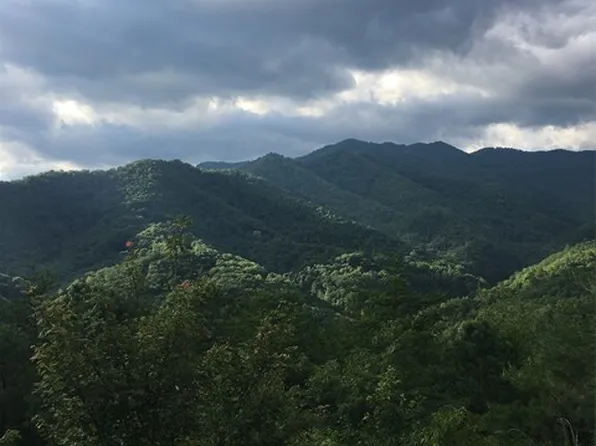 0 Bear Ridge Run, Bryson City, NC 28713