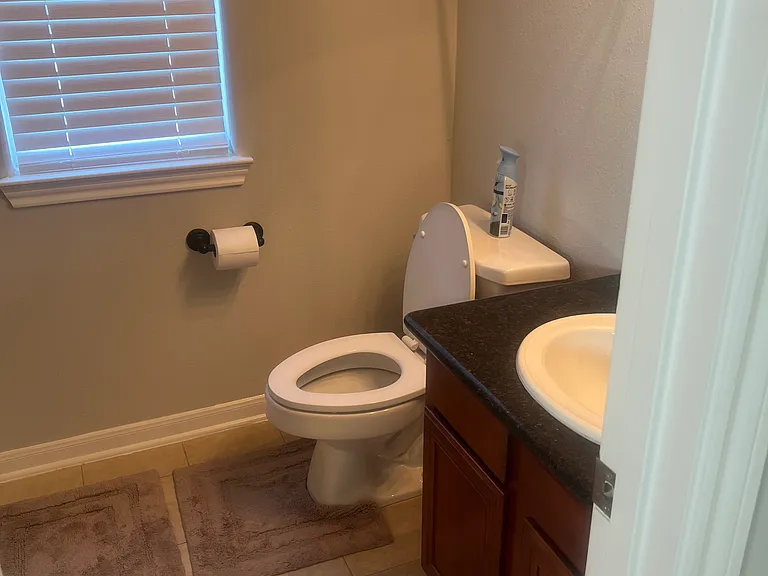 1762 Aden Mist Dr — Photo 12