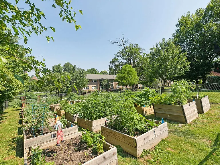 Community Garden