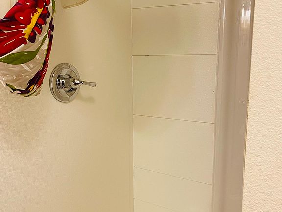 Shower walls and fixture, you will need a shower curtain.