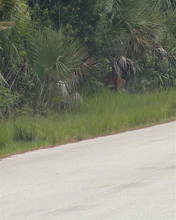 1st image of SW 129th Loop Lot 12