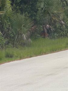 TBD SW 129TH LOOP LOT 12, Ocala, FL, 34473