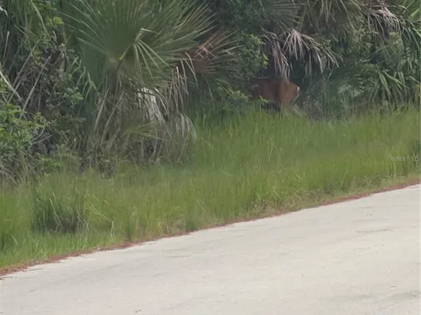 TBD SW 129TH LOOP LOT 12, OCALA, FL 34473