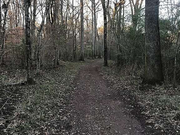Nature trail to Cahaba River