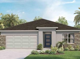 31863 Treasure Dock Isle, Wesley Chapel, FL 33545