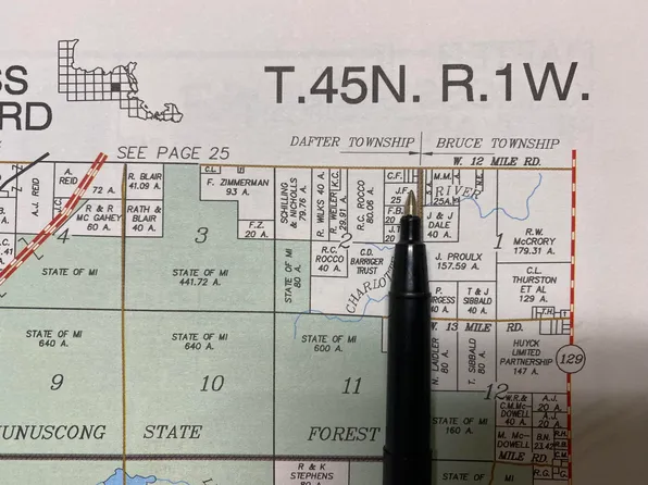 W Twelve Mile Rd, Dafter, MI 49724