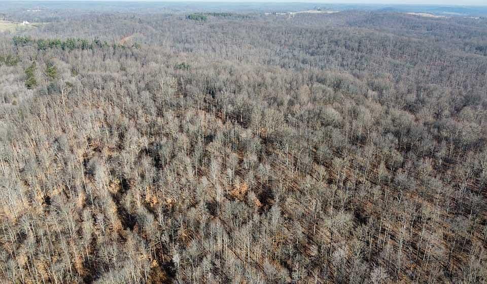 1st image of 10236 W County Road 75 S