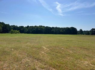 LOT 1 Highway 135, Troup, TX 75789