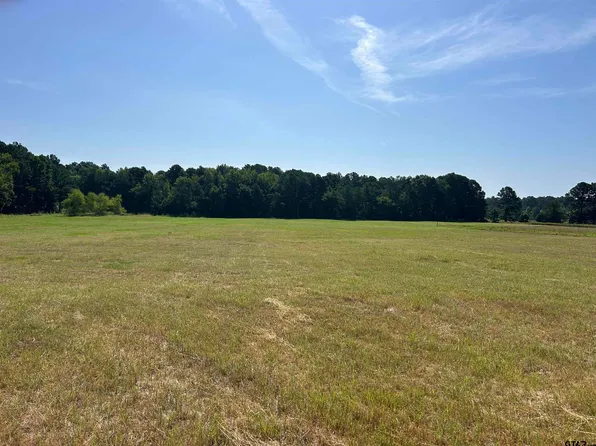 LOT 1 Highway 135, Troup, TX 75789