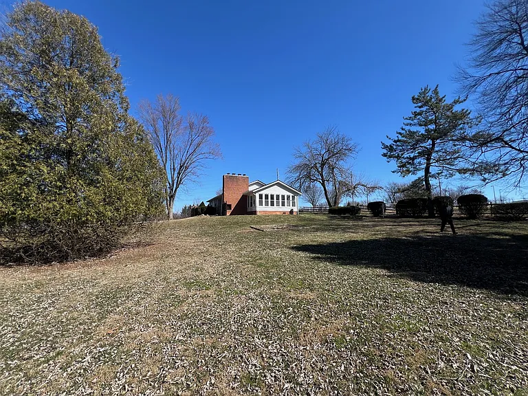 back yard_03112025