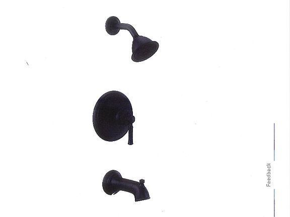 master bath shower head
