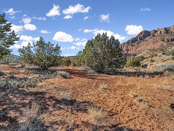 2nd image of Claret Cup Ln #161 & 162
