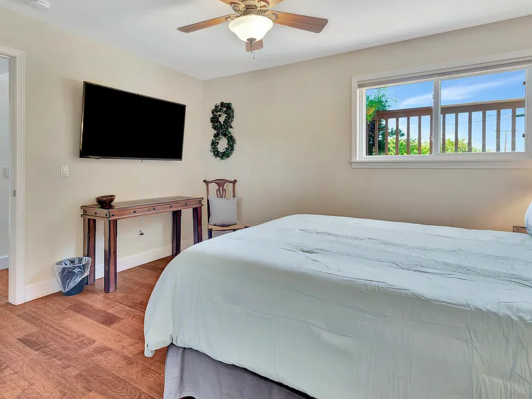 Downstairs Bedroom 2