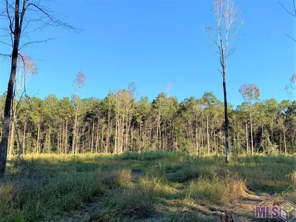 1F Highway 63, Clinton, LA 70722
