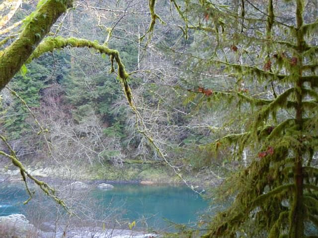 1st image of Wilson River Hwy