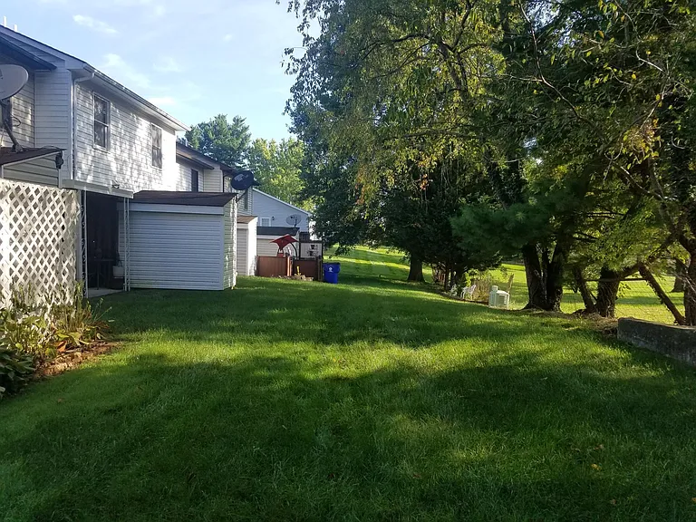 Back Yard area
