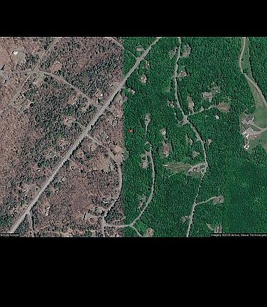 2nd image of 17 Tapping Tree Ln