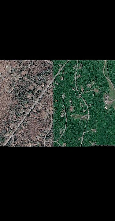 2nd image of 17 Tapping Tree Ln