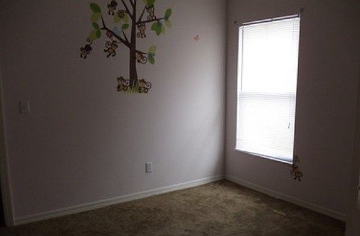 5th image of 10276 Oasis Palm Dr