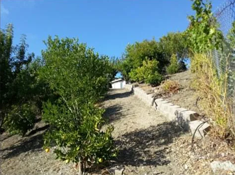 5700 Skyview Pl — Photo 22