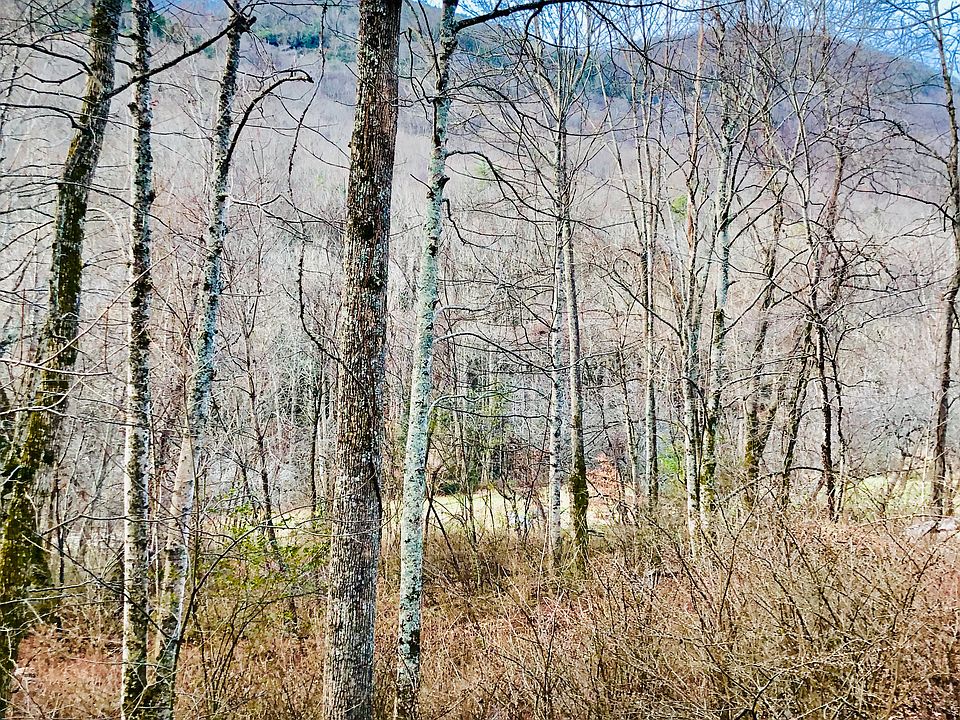 Facing Little Bearwallow Tr
