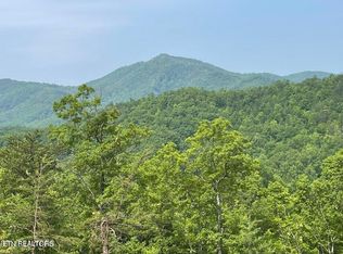 LOT 1 Caney Creek Rd, Pigeon Forge, TN 37863