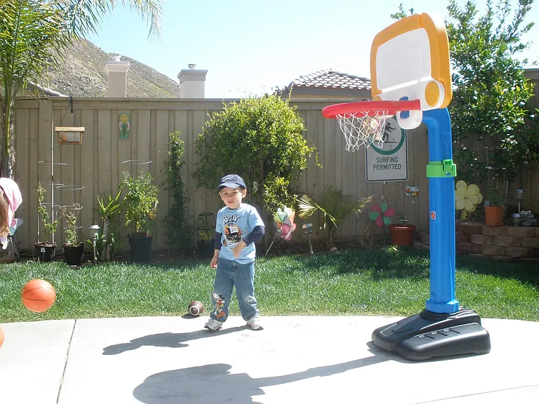 backyard in 2012