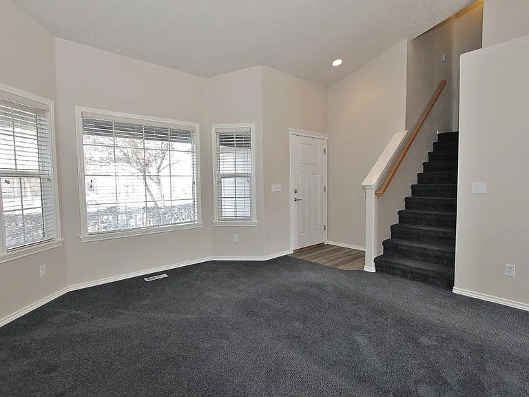 17696 Dark Zebra Way — Photo 3