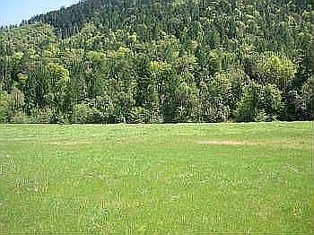 3rd image of 10377 Highway 238