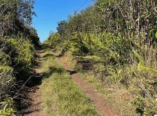 Road 6 Ooaa LOT 4444, Kurtistown, HI 96760