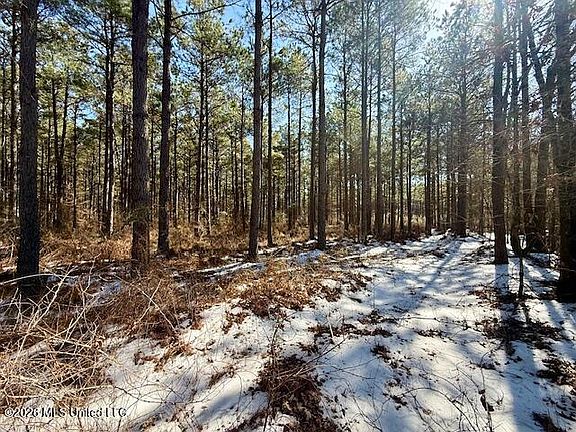 5th image of Cook Wallace Rd