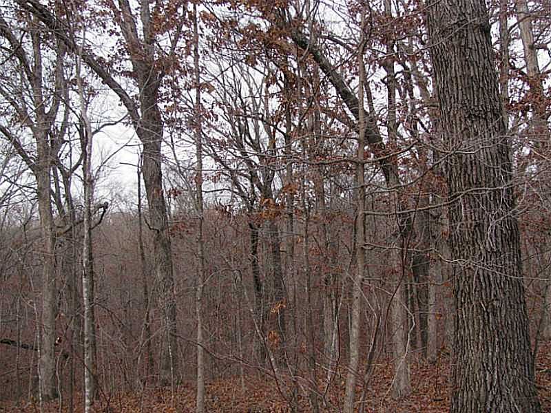 1st image of Kelsey Ln #8