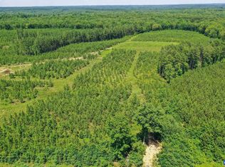 4 Rising Sun Rd, Palmyra, VA 22963