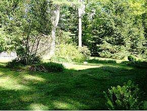Great yard
