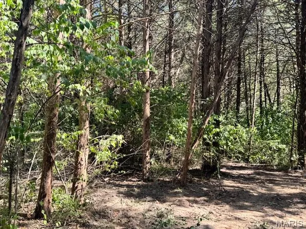 113 Elizabeth Ct, Wright City, MO 63390