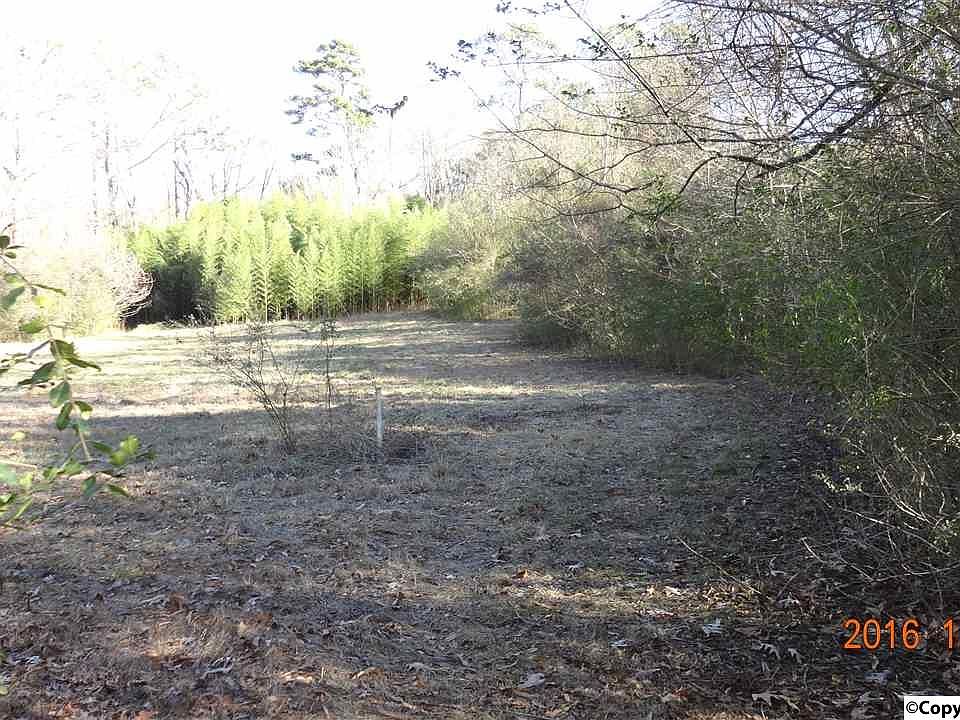 2nd image of Clemons Rd