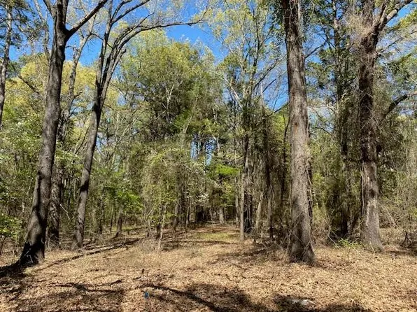 Armadillo Dr, Murchison, TX 75778
