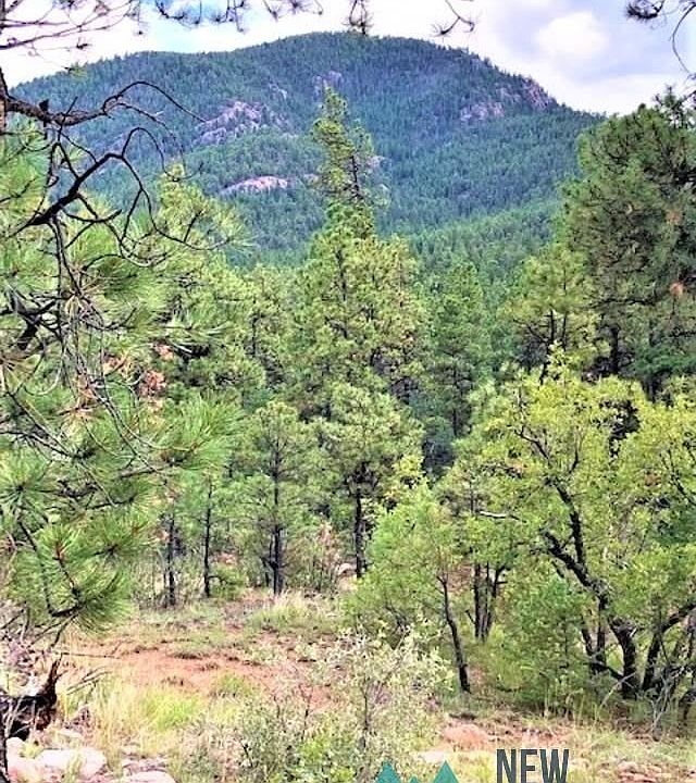 1st image of 10 Trumble Canyon Rd