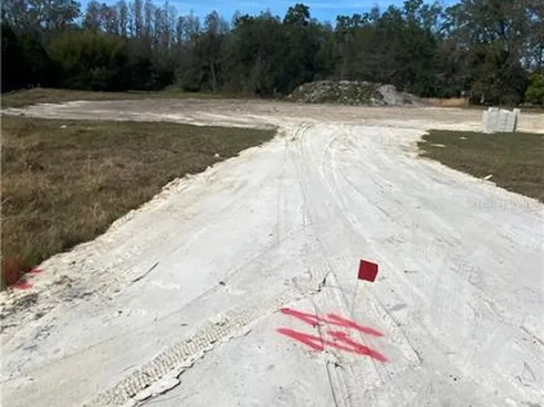 19005 Deer Point Pl, Odessa, FL 33556