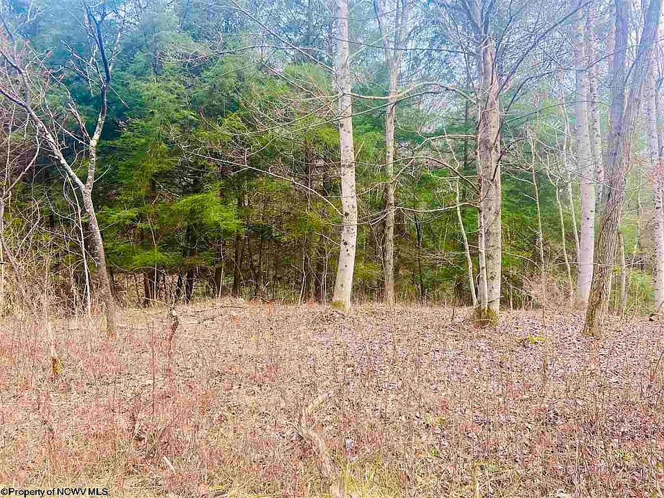 Martin Rd, Albright, WV 26519 MLS 10141535 Zillow