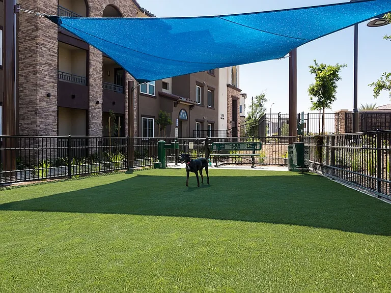 WAG Pet Park