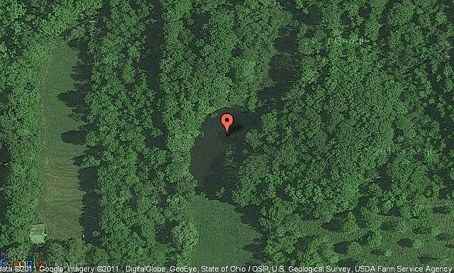 Map View