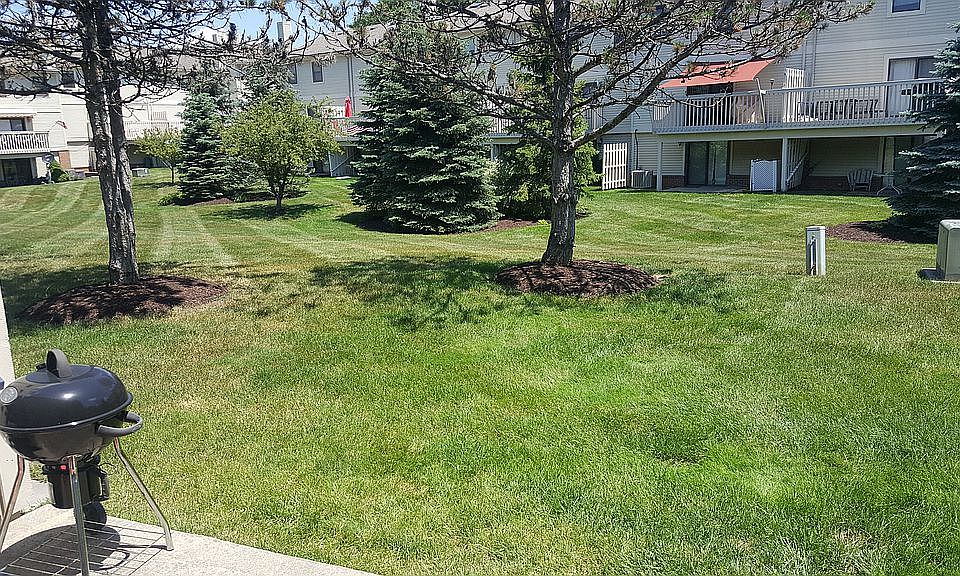 Huge Backyard Common Area